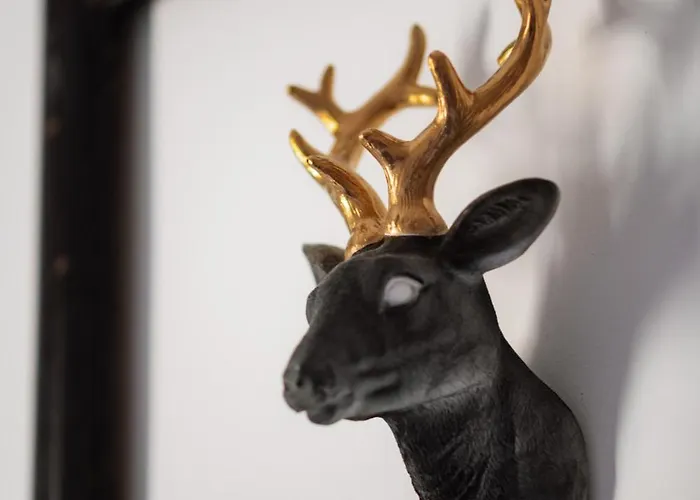 Apartment Main Square